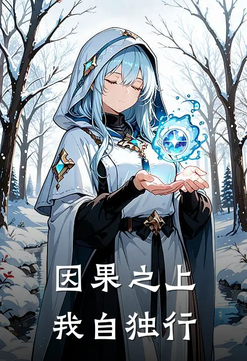 因果之上我自独行