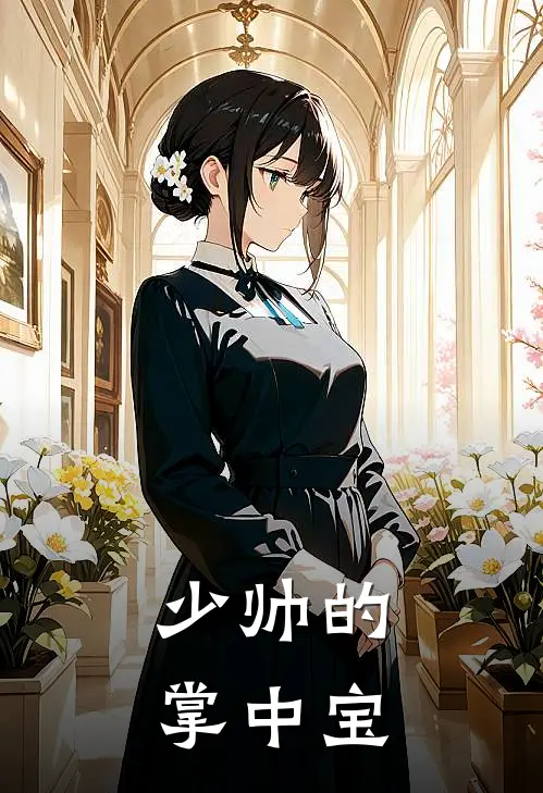 少帅的掌中宝