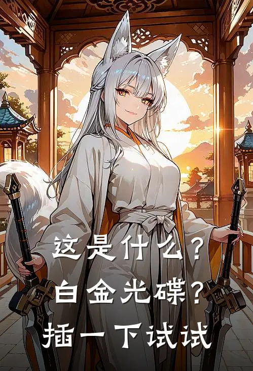 这是什么？白金光碟？插一下试试